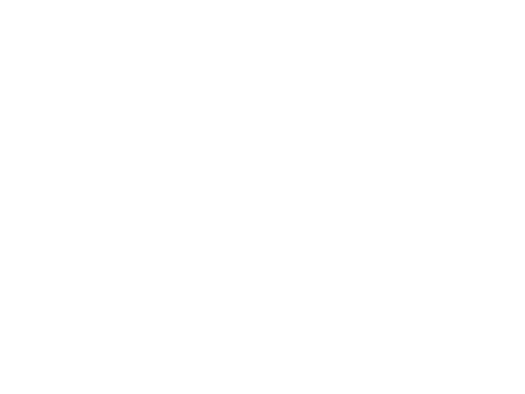 YSL Yeshili Reflective
